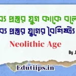 Characteristics of Neolithic Age