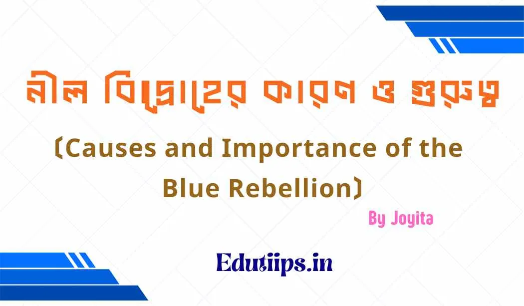 Causes and Importance of the Blue Rebellion