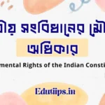 Fundamental Rights of the Indian Constitution