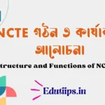 Functions of NCTE