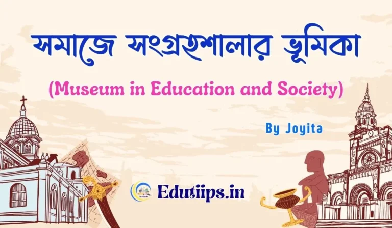 Museum in Education and Society