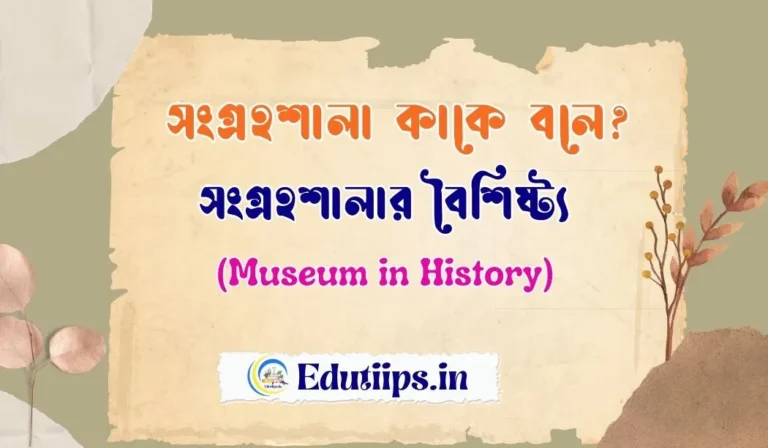 Museum in History