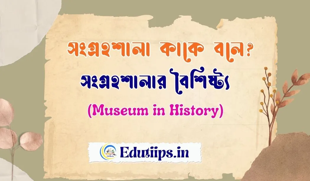 Museum in History