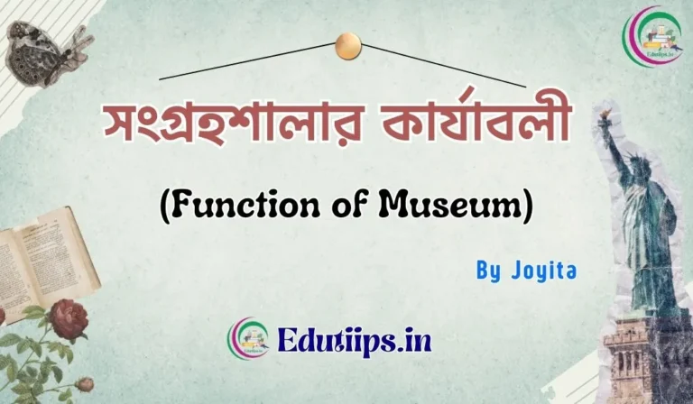 Function of Museum