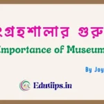 Importance of Museum