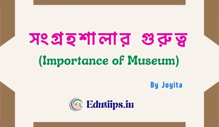 Importance of Museum